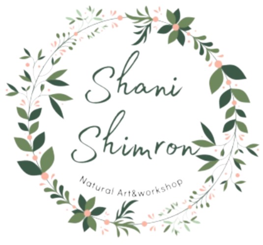 shanishimronart.co.il